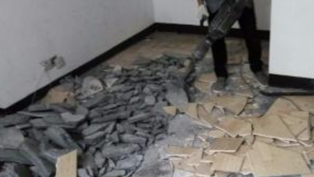 赵西垸林场辅助拆除